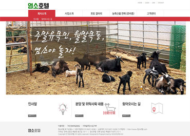 호기심염소_백원태