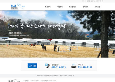 주식회사블루홀스